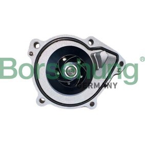 Wasserpumpe B11220 von Borsehung günstig für 192,96 € online kaufen