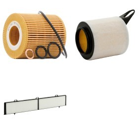 Filterset 4055F3700P von RIDEX PLUS günstig für 38,18 € online kaufen