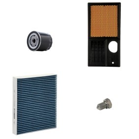 Filterset 4055F0576P von RIDEX PLUS günstig für 35,80 € online kaufen