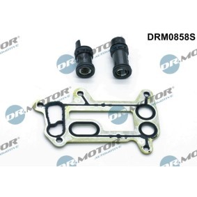 Dichtungssatz, Ölkühler DRM0858S von LIZARTE günstig für 67,39 € online kaufen