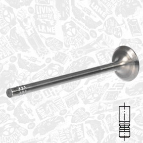Compre Válvula de drenagem da ET ENGINETEAM VE0187 a um preço baixo por 23,34 €