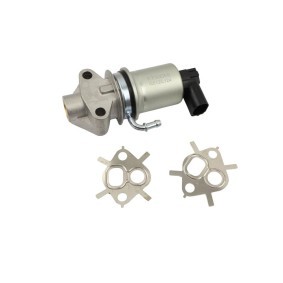AGR-Ventil FT10055 von FAST günstig für 95,33 € online kaufen