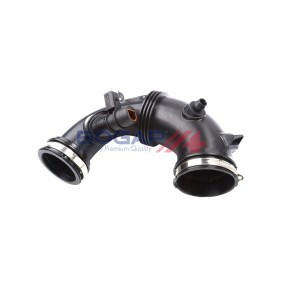 Ansaugschlauch, Luftfilter C6110121 von BOGAP günstig für 107,73 € online kaufen