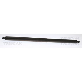 Compre Amortecedor da mala da TRISCAN 8710 81201 a um preço baixo por 30,88 €