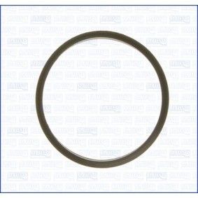 Dichtung, Thermostat 01095400 von AJUSA günstig für 6,55 € online kaufen