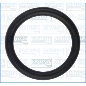Dichtung, Wasserpumpe 16103300 von AJUSA günstig für 3,16 € online kaufen