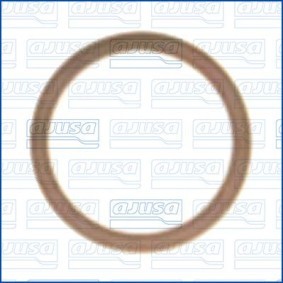 Acquista Guarnizione, Pompa depressione da AJUSA 21026100 a buon mercato per soli 2,35 €