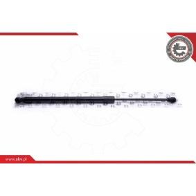 Heckklappe-Motor 52SKV243 von ESEN SKV günstig für 130,94 € online kaufen