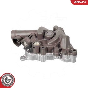 Osta Öljypumppu ESEN SKV:llä 77SKV006 edullisesti hintaan 186,14 €