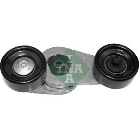 Comprar Brazo tensor, correa poli V de INA 534 0166 10 a bajo precio de 138,19 €