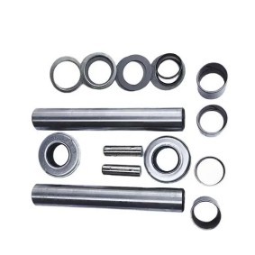 Acquista Kit riparazione, Perno fuso a snodo da DP GROUP BS 1816 a buon mercato per soli 88,07 €