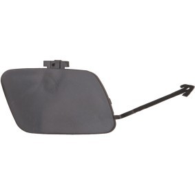 Klappe, Abschlepphaken 1020159 von DIEDERICHS günstig für 14,25 € online kaufen