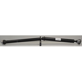 Compre Caixa, eixo motor da LÖBRO GKNP20134 a um preço baixo por 303,03 €