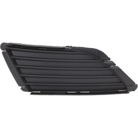 Lüftungsgitter, Stoßfänger 1813348 von DIEDERICHS günstig für 6,16 € online kaufen