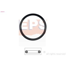 VOLKSWAGEN Dichtung, Thermostat von EPS