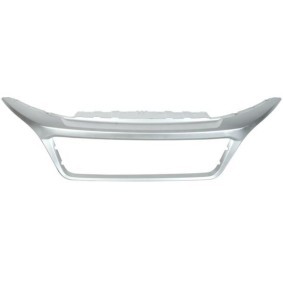 Achetez des Baguette et bande protectrice, grille de radiateur BLIC 6502-07-2098994P à prix pour 73,94 €
