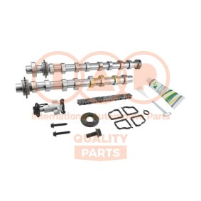 Nockenwellensatz 124-17232KC von IAP QUALITY PARTS günstig für 459,34 € online kaufen