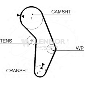 Zahnriemen für PROTON von FLENNOR