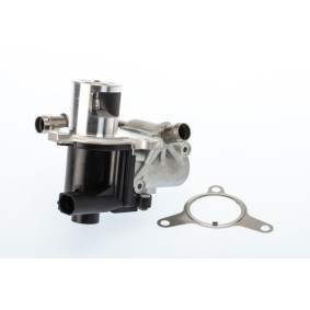 AGR-Ventil für DACIA von BorgWarner