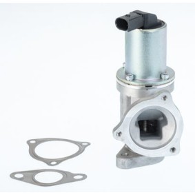AGR-Ventil für KIA von BorgWarner