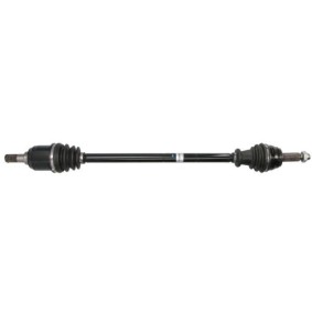 Compre Palier de POINT GEAR online para XCeed (CD) a precios moderados