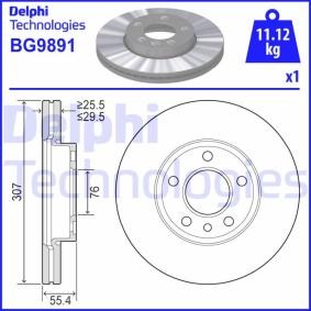 Bremsscheibe von DELPHI
