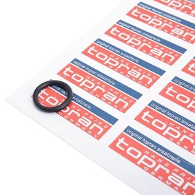 Dichtring, Thermoschalter für VAUXHALL von TOPRAN