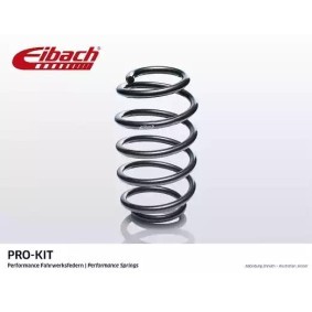 Compre Molas de EIBACH online para 300 C Touring (LX, LE) a preços moderados