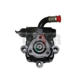 ROVER Servopumpe von LAUBER