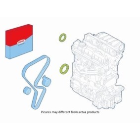 Acquista Kit paraolio, Motore da CORTECO 289120 a buon mercato per soli 15,02 €