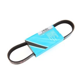 Acquista Cinghia servizi da MAPCO 260698 a buon mercato per soli 6,35 €
