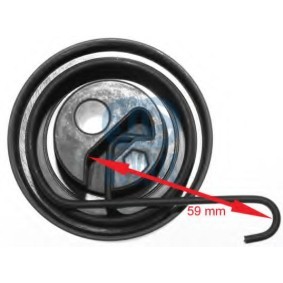Spannrolle, Zahnriemen 55383 von RUVILLE günstig für 31,89 € online kaufen