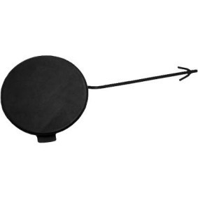 Klappe, Abschlepphaken 1017061 von DIEDERICHS günstig für 18,38 € online kaufen