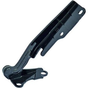 Achetez des Charnière, capot-moteur DIEDERICHS 6050219 à prix pour 16,71 €