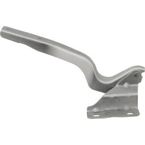 Achetez des Charnière, capot-moteur DIEDERICHS 6045819 à prix pour 44,71 €