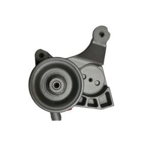 Servopumpe 54363 von SPIDAN günstig für 264,81 € online kaufen