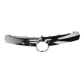 Achetez des Baguette et bande protectrice, grille de radiateur BLIC 6502-07-5063991P à prix pour 55,94 €