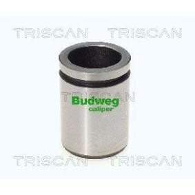 Kolben, Bremssattel 8170 233423 von TRISCAN günstig für 23,17 € online kaufen