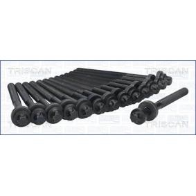 Zylinderkopfschraubensatz 98-1715 von TRISCAN günstig für 67,39 € online kaufen