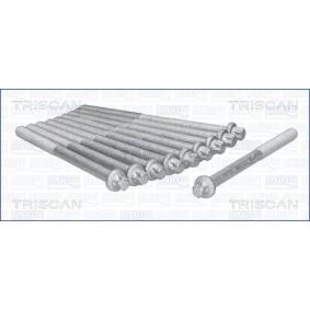 Zylinderkopfschraubensatz 98-5003 von TRISCAN günstig für 25,67 € online kaufen