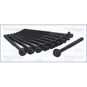 Zylinderkopfschraubensatz 98-6011 von TRISCAN günstig für 25,56 € online kaufen