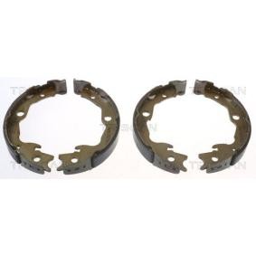 Bremsbackensatz, Feststellbremse 8100 13042 von TRISCAN günstig für 45,24 € online kaufen