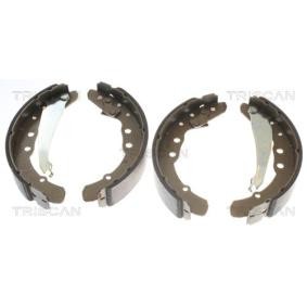 Bremsbackensatz 8100 29530 von TRISCAN günstig für 36,95 € online kaufen