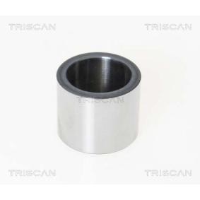 Kolben, Bremssattel 8170 231582 von TRISCAN günstig für 19,23 € online kaufen