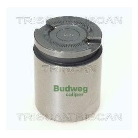 Kolben, Bremssattel 8170 234101 von TRISCAN günstig für 40,68 € online kaufen