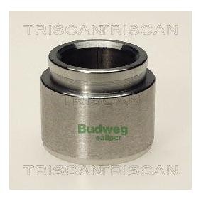 Kolben, Bremssattel 8170 234206 von TRISCAN günstig für 19,07 € online kaufen
