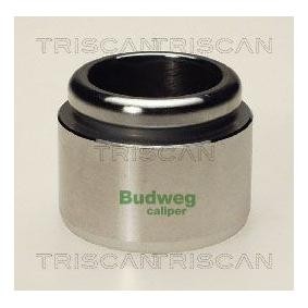 Kolben, Bremssattel 8170 234405 von TRISCAN günstig für 23,17 € online kaufen