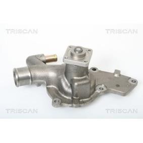 Wasserpumpe von TRISCAN