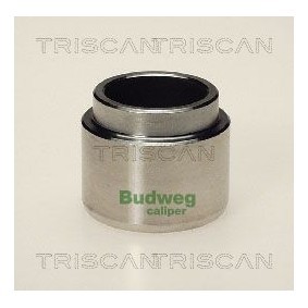 Temperaturschalter, Kühlerlüfter 8625 125100 von TRISCAN günstig für 22,54 € online kaufen