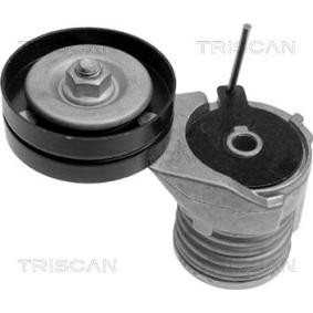 Spannarm, Keilrippenriemen 8641 293002 von TRISCAN günstig für 70,67 € online kaufen
